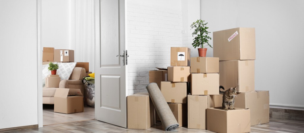 Moving