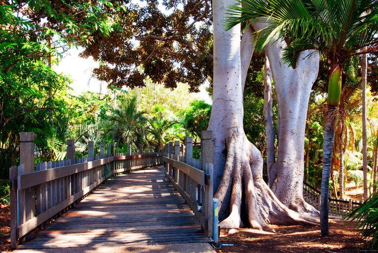 San Diego Balboa Park - hiking trail San Diego