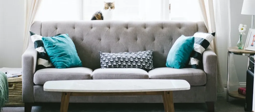 Tidy Sofa With Cat
