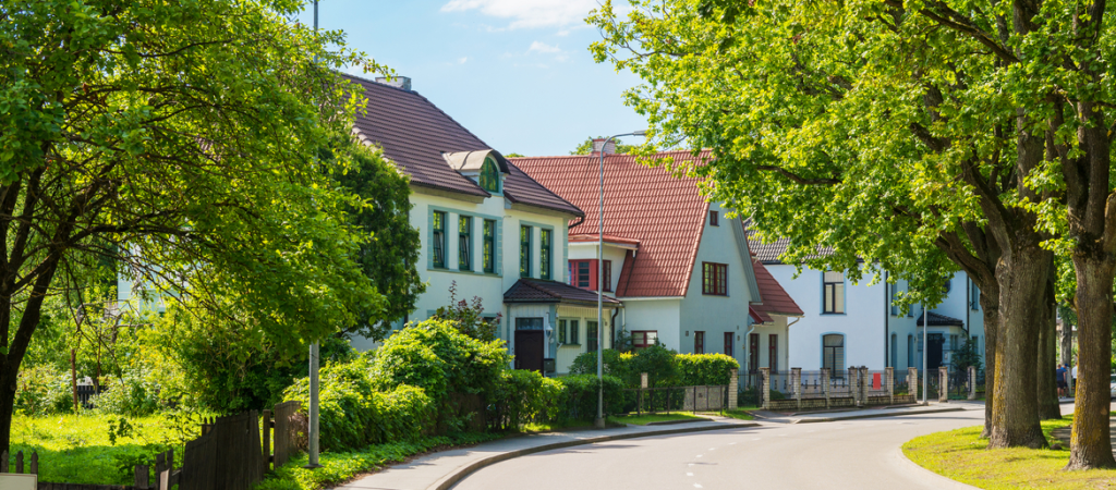 suburban street with greenery