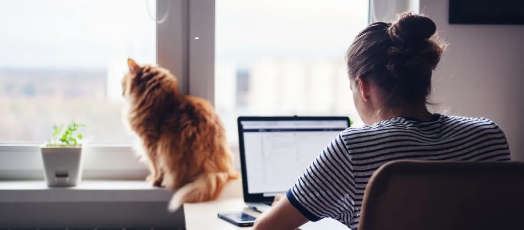 Young woman at laptop with cat at window