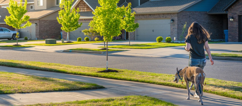 woman walking a dog in the suburbs