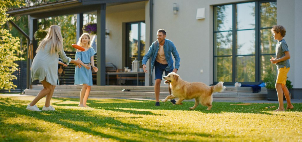 Family of Four Play Fetch flying disc with Happy Golden Retriever Dog on the Backyard Lawn