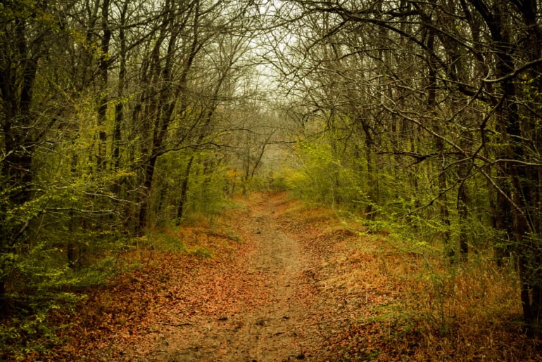 Path in River Legacy Park in Arlington, TX