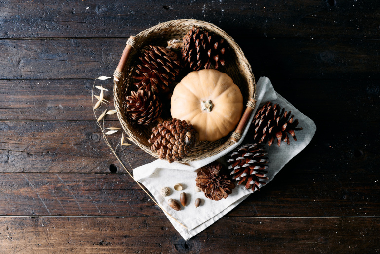 Pinecones decoration