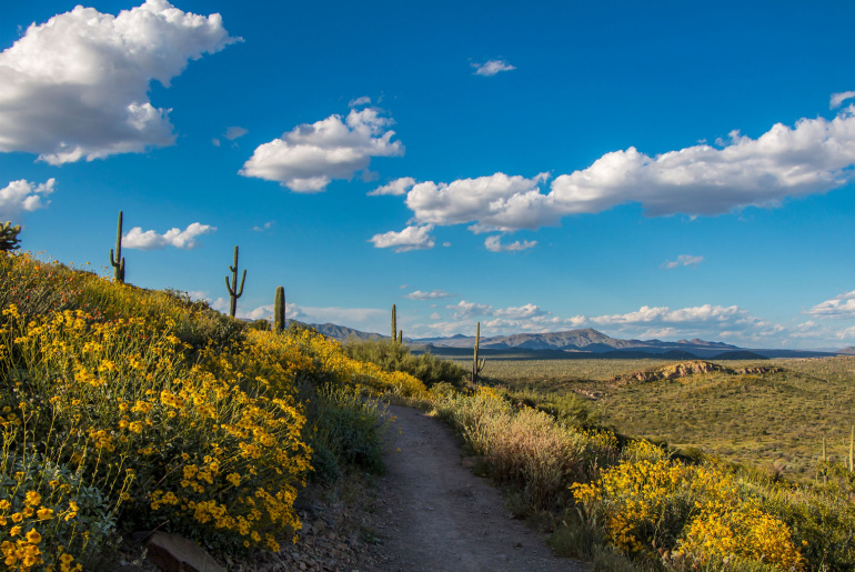Scenic hiking trail in North Scottsdale, AZ
