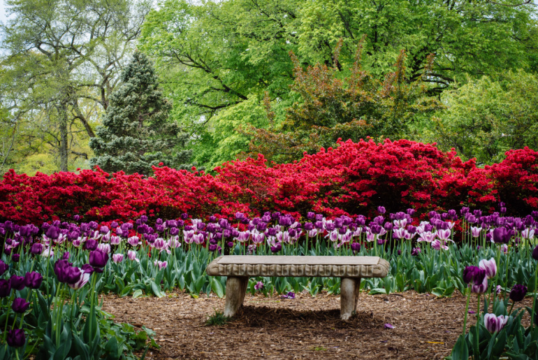 Bench and gardens at Sherwood Gardens Park, in Guilford, Baltimore, Maryland