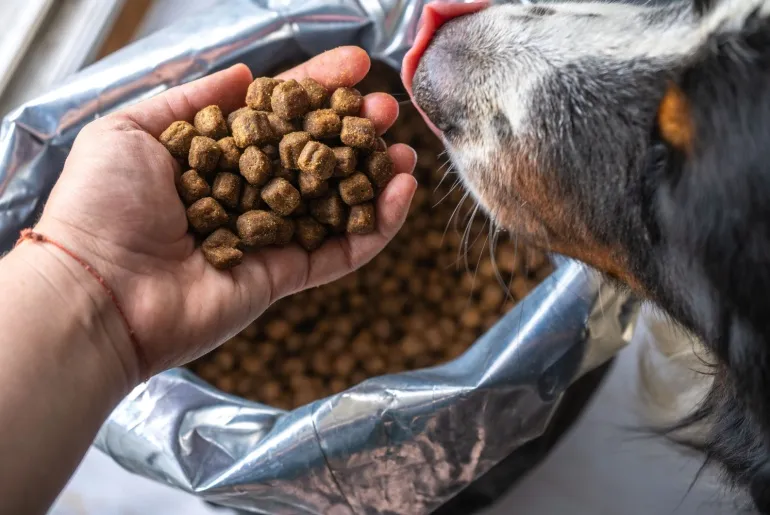 dog food bag with human hand and dog nose