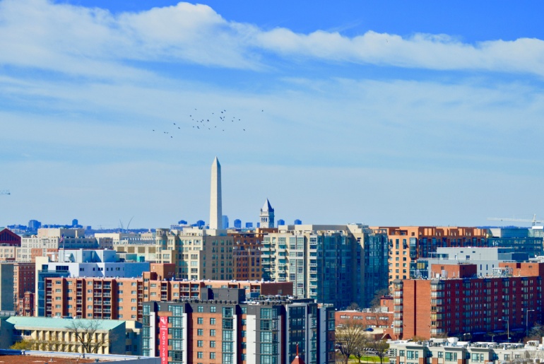 Sunny city skyline of Washington, D.C