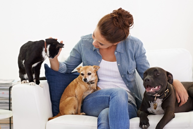 Woman-sofa-and-happy-with-pet-cat-and-dog-for-care-love-and-bonding-in-home-living-room-playing-and-together.-Girl-animal-family-and-smile-on-lounge-couch-with-happiness-lifestyle-and-house