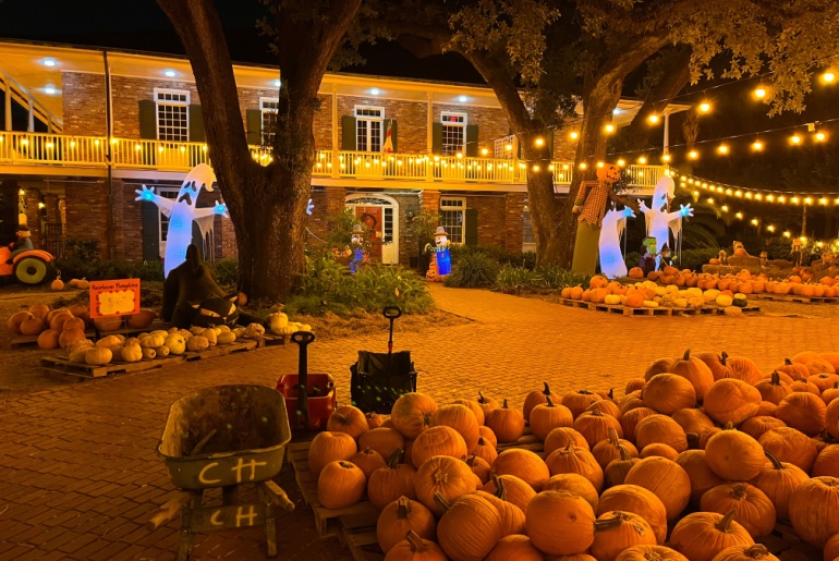 New-Orleans-house-halloween-decoration-pumpkins-ghosts-black-cat