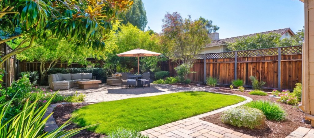 Backyard.