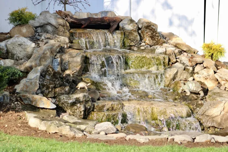 Backyard waterfall
