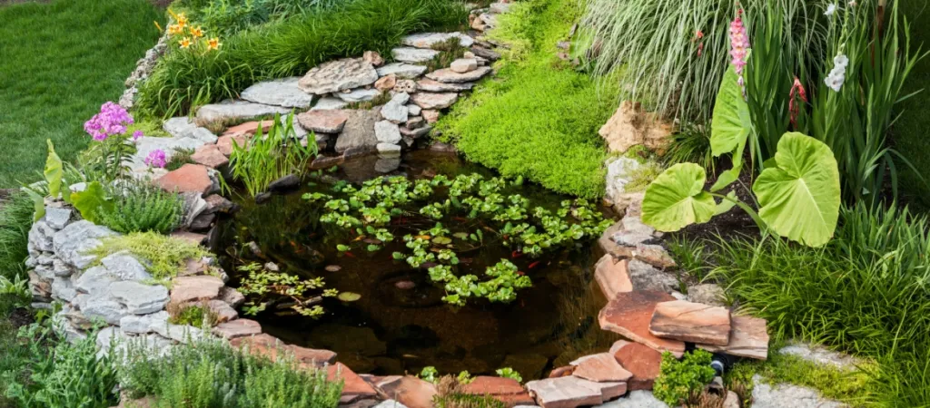 DIY-pond-in-a-backyard