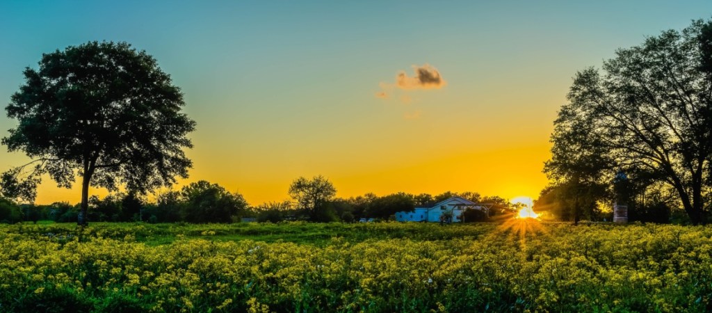 Field and houses in Fulshear, Texas