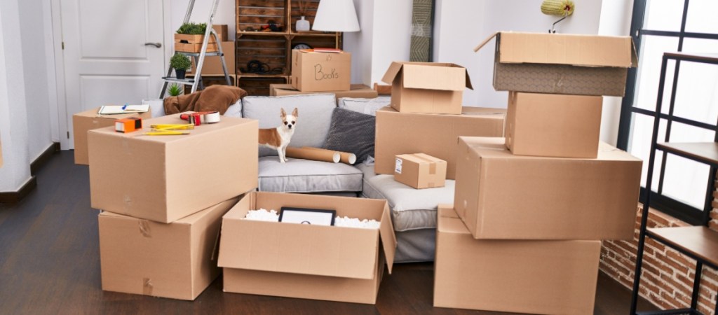 Moving boxes in living room