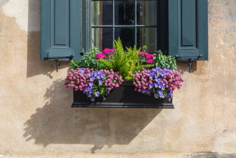 Multicolored flowers bloom in a window box under a shuttered window