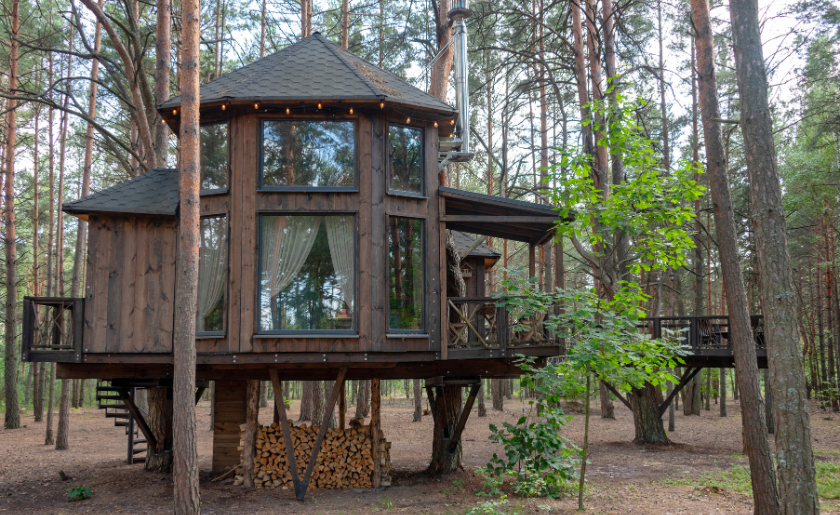 A charming wooden treehouse among tall trees in a forest setting.