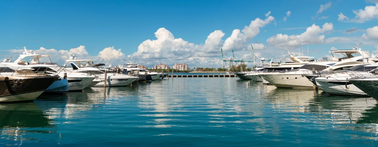 boats in a marina