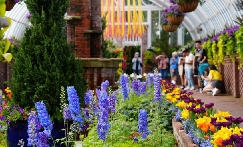 Phipps Conservatory and Botanical Gardens, Pittsburgh, PA