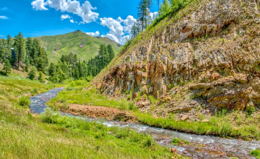 Custer State Park, South Dakota